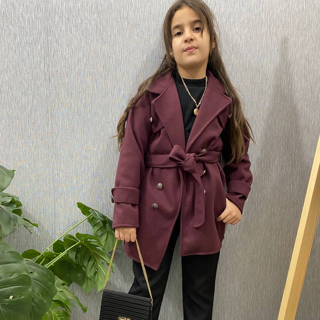 أنصومبل مونطو 6 قطع عيد 2026